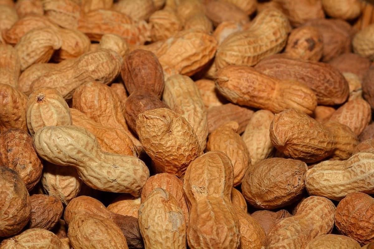 Image of Exposed underwear, and salted nuts